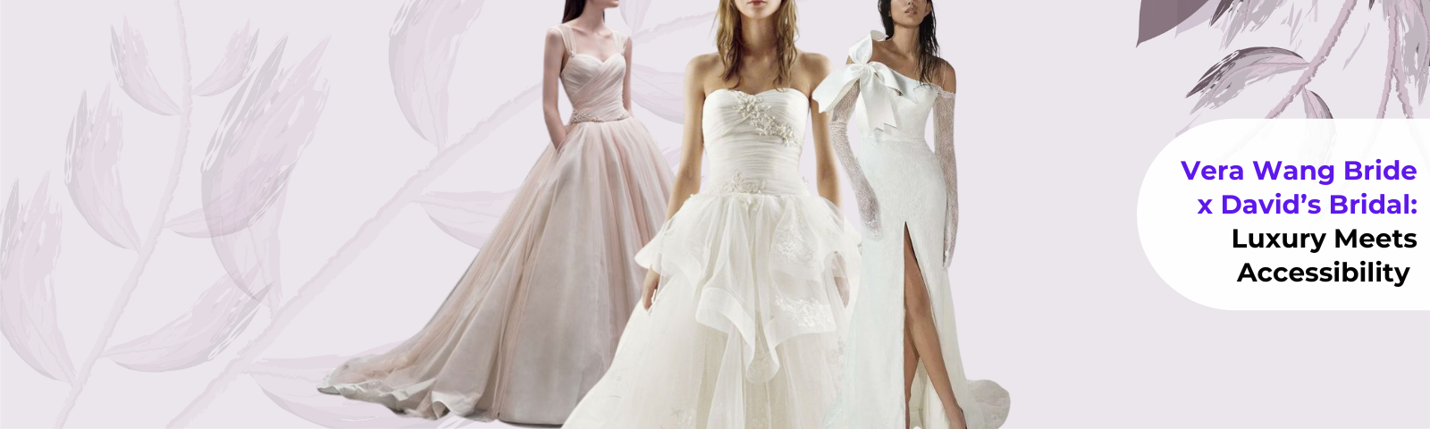 David's Bridal x Vera Wang Blog Image